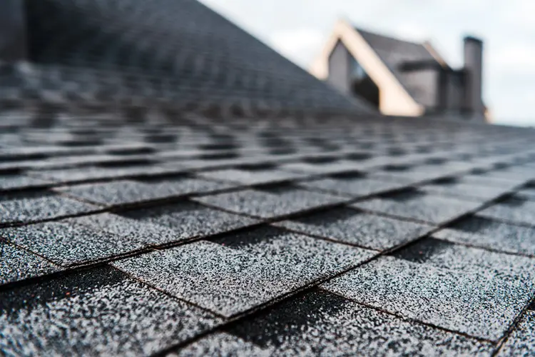 Shingle roofing